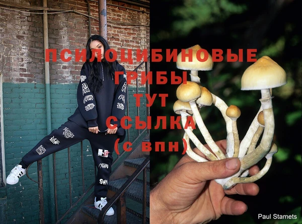 МДМА Гусиноозёрск