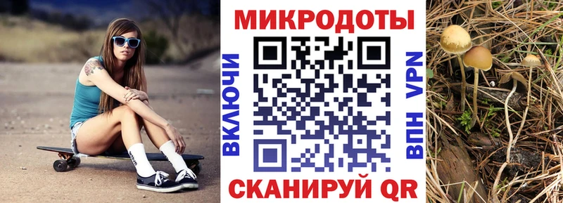 Псилоцибиновые грибы Psilocybine cubensis  Сим 