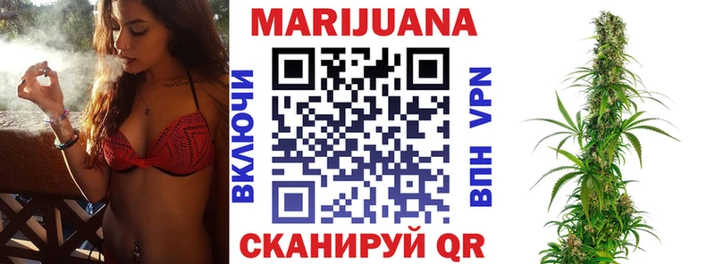 где продают наркотики Сим Каннабис сатива